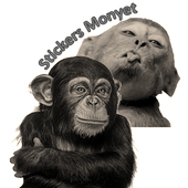 Monyet Lucu Png - Antoni Gambar