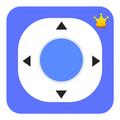 Crown TV Remote