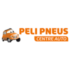 Peli Pneus Centre Auto icône