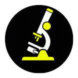 Zam-essay- Assignment writers