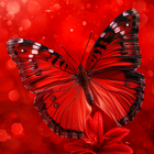 Aesthetic Red Wallpaper icône