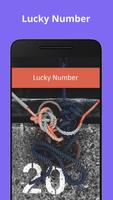 Lucky Number Poster