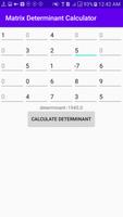 Matrix Determinant Calculator screenshot 2