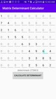 Matrix Determinant Calculator screenshot 3
