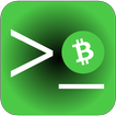 BCH TERMINAL CLOUD MINER