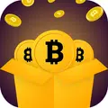 BTC Network