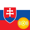 SK Radio Pro APK