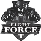 Fight Force 圖標