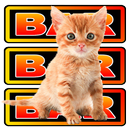 Vegas Kitten Slots (Free) APK