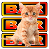 Vegas Kitten Slots Zeichen