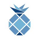 Avery  Abby Online Boutique APK