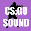 CS2 Sounds - Fake defuse kit