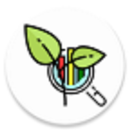 Summer Crop Survey 2020-21 APK