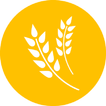 Crop Survey Verification  DES  APP