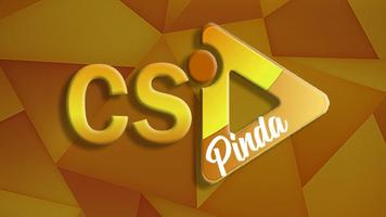 CS PINDA B poster