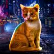 Simulador jogo de gato de rua