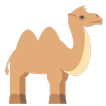 TryCamel