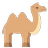 TryCamel APK