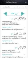 Thafheemul Quran تصوير الشاشة 3
