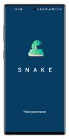 S N A K E 海報