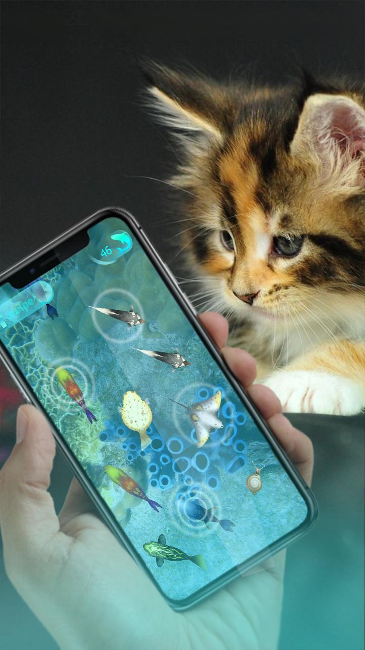 Cat fish на андроид. Игра про рыбку и кота. Игра для котов рыбки. Рыбки для котов на экране. Игра для кота на телефоне рыбки.