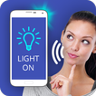 Flashlight voice control