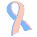 APK Healthy Pregnancy
