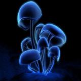 3D HD Wallpapers иконка