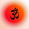 आरती संग्रह हिंदी - Aarti Book APK
