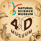 4D Museum-icoon
