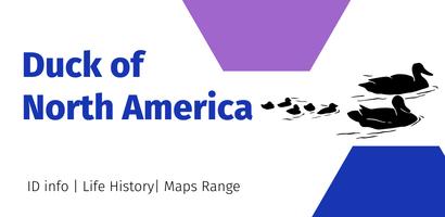 Duck of North America الملصق