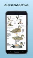 Duck of North America تصوير الشاشة 1