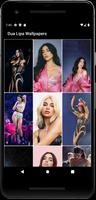 Dua Lipa Wallpaper HD 2024 पोस्टर
