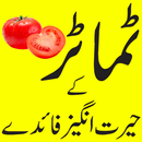 Tomato benefits in urdu APK