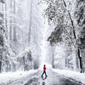 Winter wallpaper hd