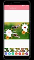 Bird Dual Photo Frame скриншот 1