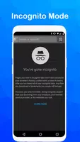 Fast Dual Browser: Secure Private Browser screenshot 2