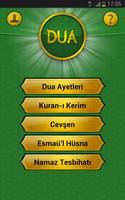 Dualar poster