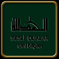 Sesli Sureler पोस्टर