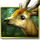 Forest HD icon