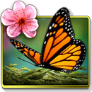 Season Zen HD APK