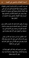 ادعية العمرة والطواف والسعي Cartaz