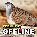 Suara Burung Perkutut Juara Terlengkap MP3 Offline APK