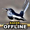 Masteran Kacer Gacor Full Isian Terlengkap Offline APK
