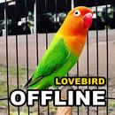 Kicau Lovebird Gacor Juara Terlengkap MP3 Offline APK