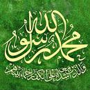 Sholawat Nabi Terlengkap (Lirik & MP3 Offline) APK