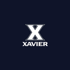 Xavier 图标