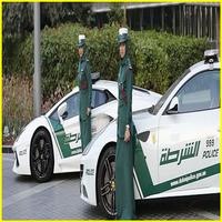 Dubai Traffic Fine Check ภาพหน้าจอ 3