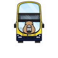 Dublin Bus Live