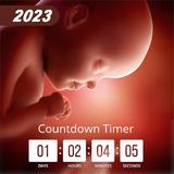 Due Date Countdown Pregnancy